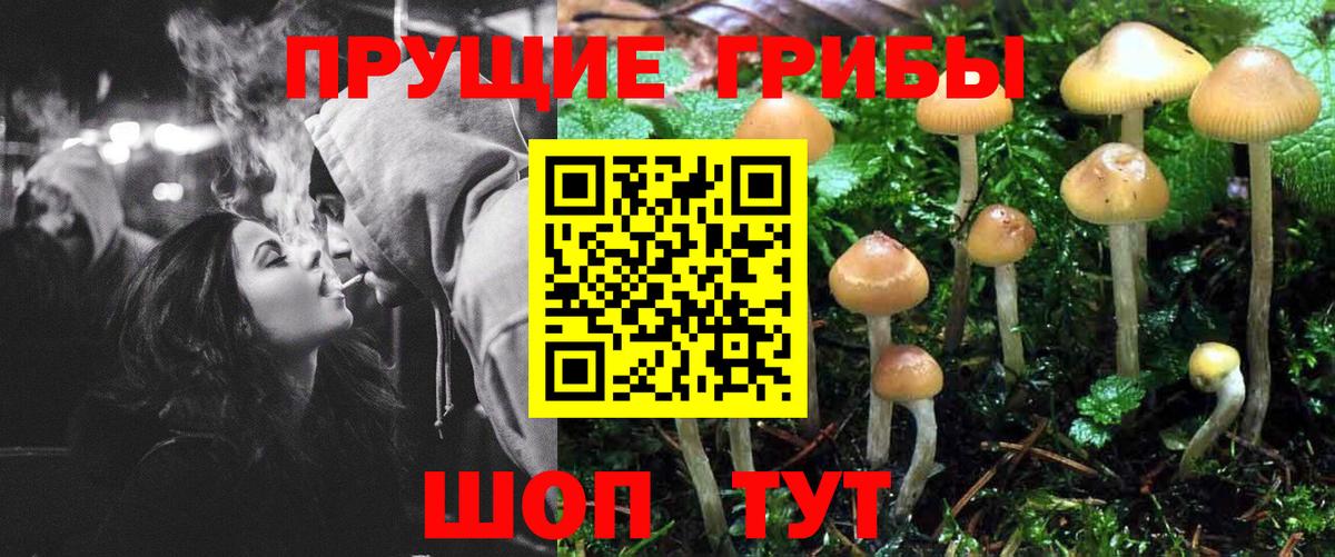 Псилоцибиновые грибы ЛСД Донской