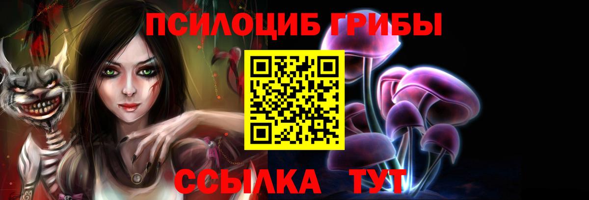 Галлюциногенные грибы Psilocybe  Галлюциногенные грибы Psilocybe  Вход с VPN  Донской 